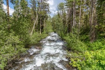 View up the Cottonwood Creek in Grand Tetons