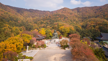 naejangsan nationnal park,South Korea
