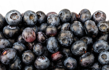 Bilberry