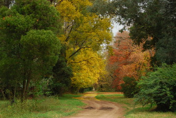 Colores otoño