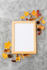 nature, season and botany concept - autumn fruits and whiteboard in wooden frame on gray stone background