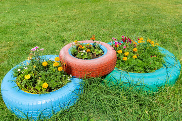 цветы в шинах