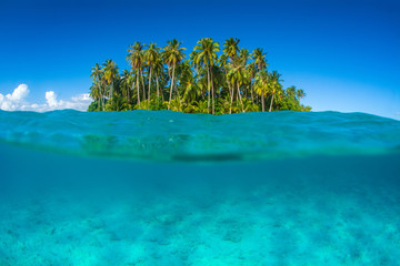 Fototapeta na wymiar Tropical island in the sea at Mentawaii region in Indonesia