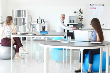 Obraz premium Young business people sitting on fitballs while working in office