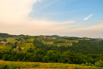 Obraz premium Scenic view of a hill landscape with forests, cultivated fields and vineyards in the Langhe area of Piedmont with blue cloudy sky in summer, Bossolasco, Cuneo, Italy