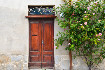 Close-up of an old weathered wooden door with a climbing red rose on the wall, Piedmont, Italy