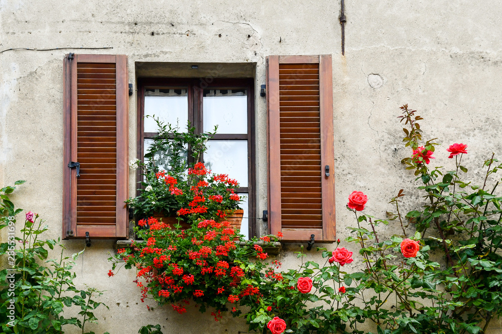 Wall mural close-up of an old window with wooden shutters and blooming plants of red geranium (pelargonium) and