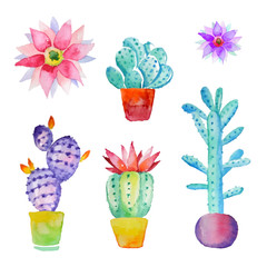 Cactus isolated on white background. Vector, watercolor hand drawn set illustration