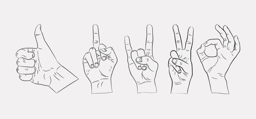 Hand gestures. Vector illustration with various gestures. Ok, rock, peace, like.