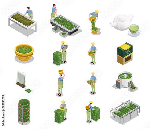 Tea Production Steps Isometric Icons