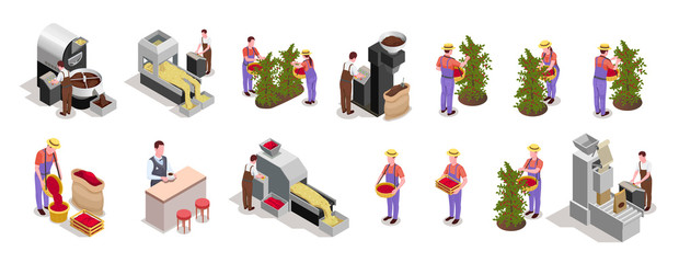 Coffee Production Isometric Elements 