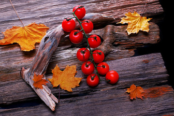 tomatoes on a branch lie on an old wooden table.