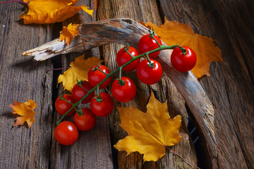 tomatoes on a branch lie on an old wooden table.