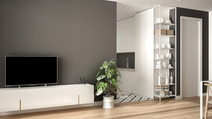 Modern white and gray minimalist living room with small kitchen, parquet floor, tv cabinet, potted plant. Scandinavian colored tiles and decors, architecture interior design concept