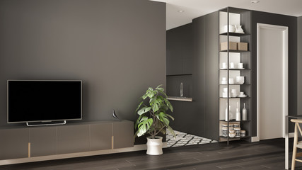Modern gray minimalist living room with small kitchen, parquet floor, tv cabinet, potted plant. Scandinavian colored tiles and decors, architecture interior design concept