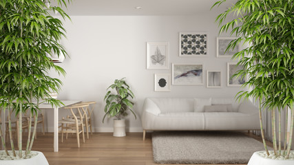 Zen interior with potted bamboo plant, natural interior design concept, scandinavian minimalist living room with big windows and carpet, contemporary modern architecture concept idea