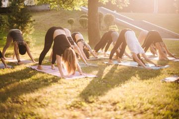 Yoga girls in city park are exercise stretching in pose Adho Mukha Shvanasana, Downward Facing Dog,...
