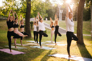 Group of concentrated young women are balancing on one leg with raised arm in tree pose in park...
