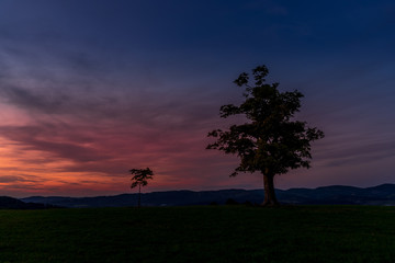 Abandoned tree on a mountain ridge captured during orange and purple sunset in background, beautiful clouds and sun behind the horizon captured Velka Lhota Czech Republic