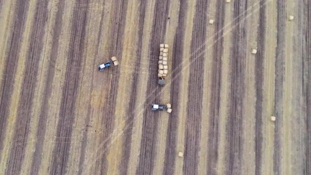Aerial: Haymaking. Tractor collecting round bales of hay and loaded to truck. Agricultural Footage On the Field.
