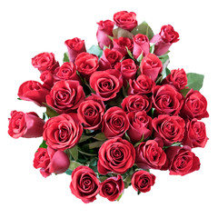 bouquet of roses isolated on white background