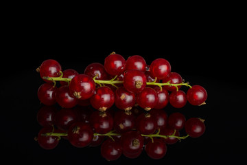 Lot of whole fresh red currant isolated on black glass