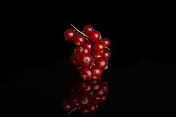 Lot of whole fresh red currant isolated on black glass