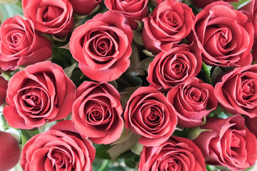 Bouquet of red roses, top view.