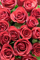 Bouquet of red roses, top view.