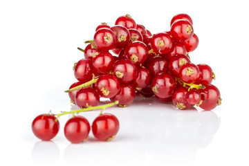 Lot of whole dark fresh red currant isolated on white background