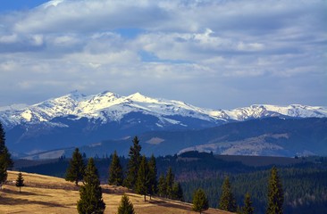 Rodna mountains covered with snow