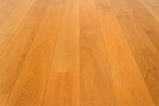 Oak Floor Images Browse 440 Stock, Hardwood Floor Adhesive Toolstation Egyptian Cotton