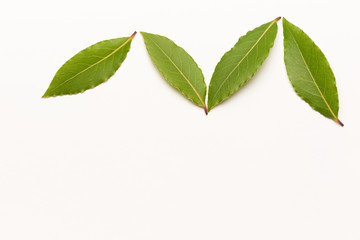 Aromatic bay leaves isolated on white background