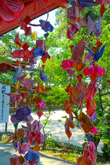 Fototapeta premium christmas tree