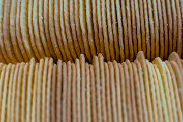 Abstract background of biscuits. Soft focus. Dry cookies close-up.