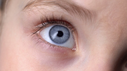Fototapeta na wymiar Closeup of blue child eye, concept of genetics inherited traits, innocent look