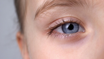 Child with blue eyes looking into camera, vision check, ophthalmology close-up