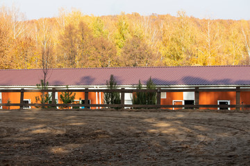 Autumn trees in a sunny October park are lit by the evening sun. Sunny autumn landscape with the spread of autumn leaves in the autumn park.