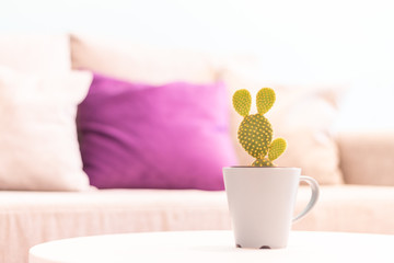 Details are always well welcomed