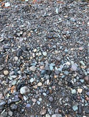 pebbles on the beach