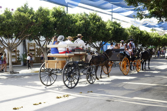 horse carriage concurso de enganches de carruajes de coches de caballos feria de malaga 2019