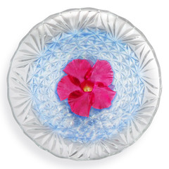 Flower Floating in Crystal Bowl