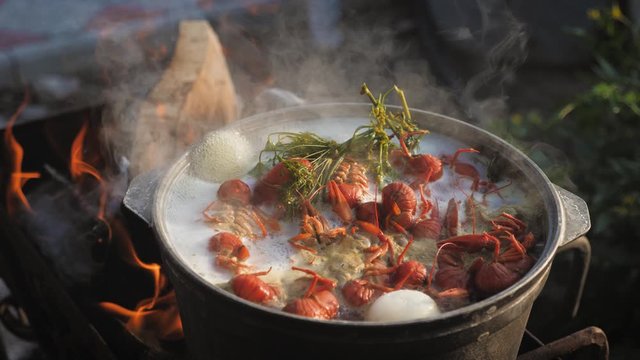 Crayfish cook in water with spices and herbs. Hot Boiled Crawfish. Lobster closeup.