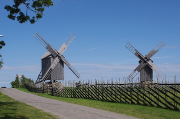 Fototapeta premium Windmills on Estonian Island Saaremaa