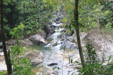 Environment of tropical country, Thailand