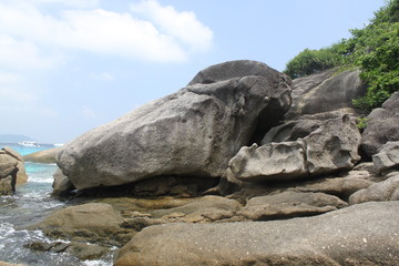 Environment of tropical country, Thailand