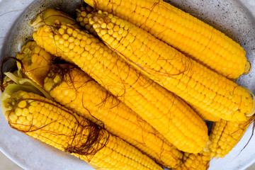 Boiled corn on an aluminum tray. Corn near. Closeup of corn. Yellow boiled young corn, useful and tasty food.