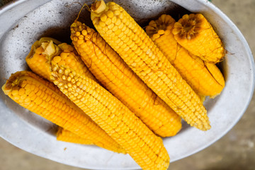 Boiled corn on an aluminum tray. Yellow boiled young corn, useful and tasty food