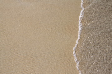 Environment of tropical country, Thailand