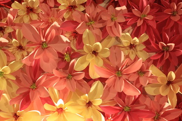 Environment of tropical country, Thailand